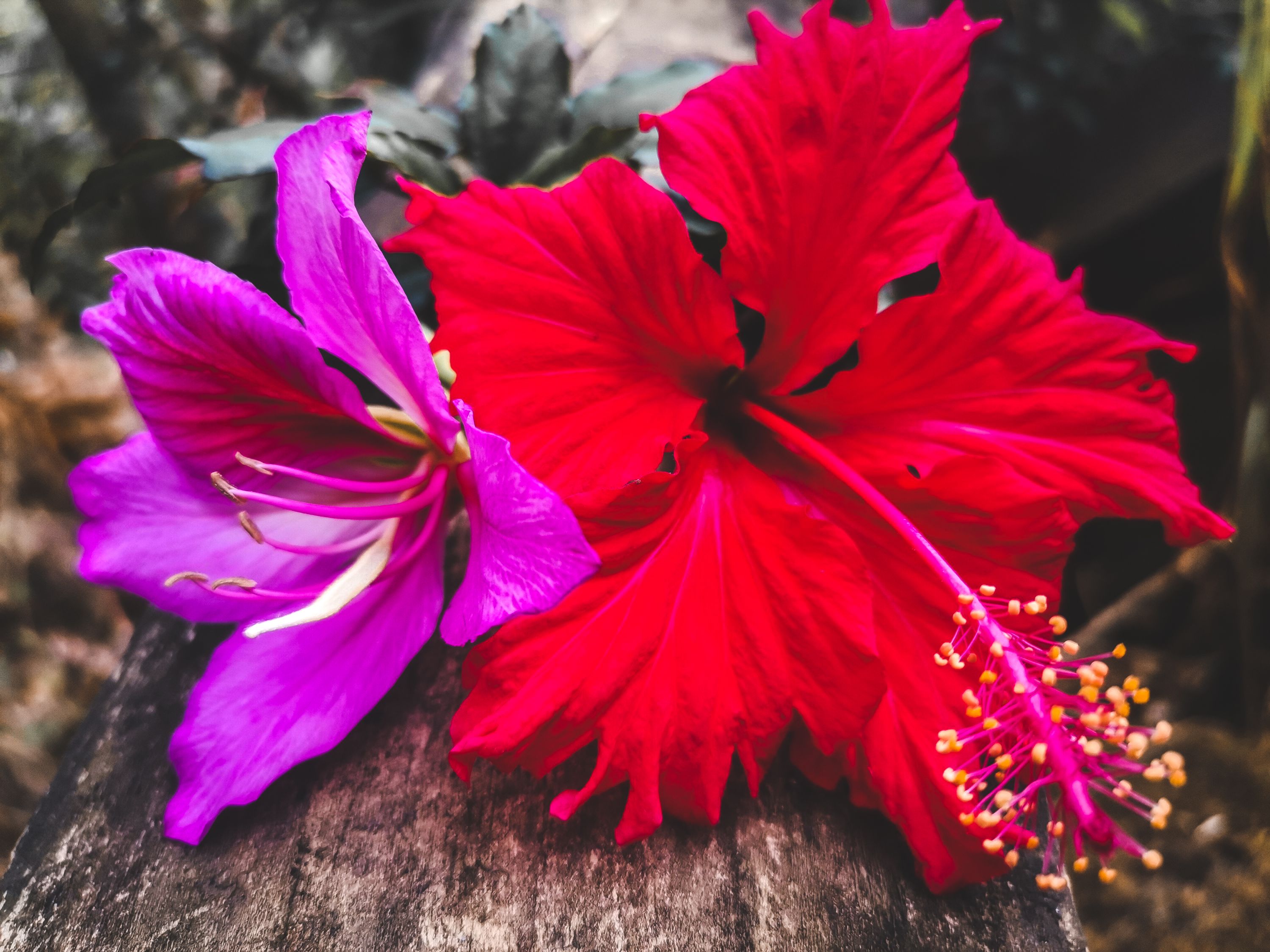 IMG_20220315_141944 (1)